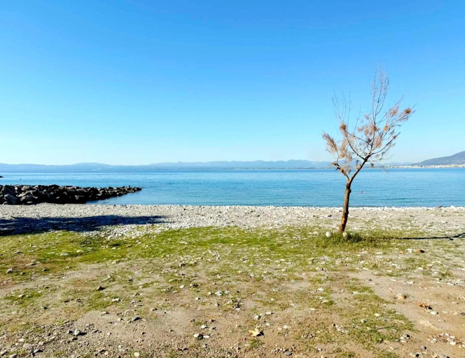 Kamari Seafront Apartment *